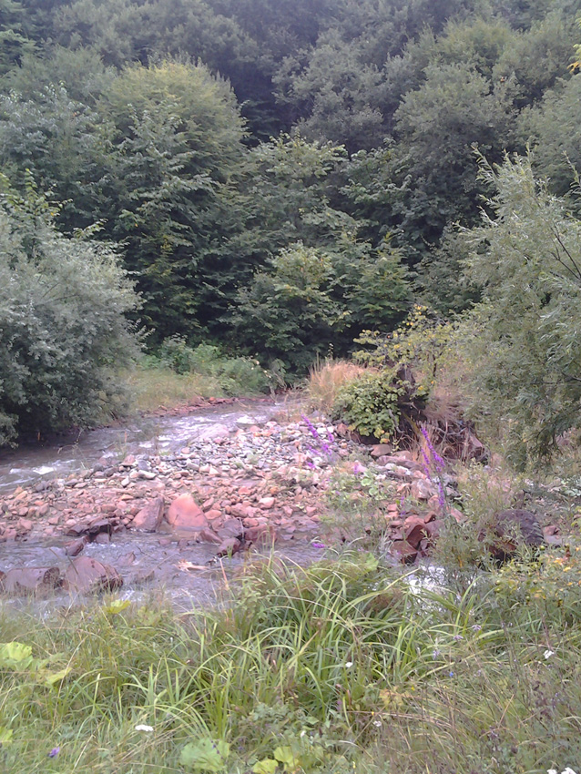 Armenie - La rivi�re Tandzut